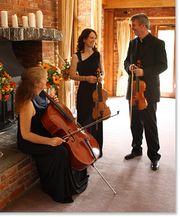 wedding String players for hire